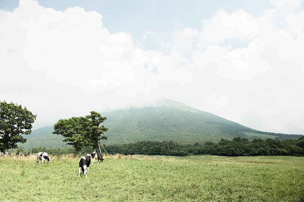 6209 大山まきばみるくの里 ©鳥取県