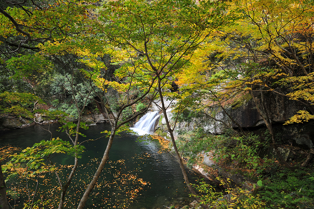 7045 三朝町小鹿渓 ©鳥取県